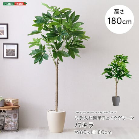 お手入れ簡単 フェイクグリーン パキラ Lサイズ(180cm)