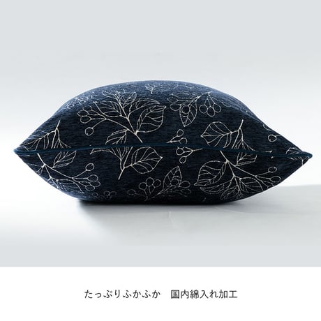 セアテ クッション 座布団 ブラン 60×60cm