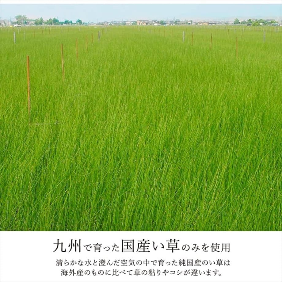 67c0f7845ab45e0001e7056c