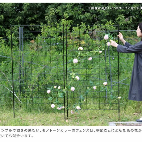 アイアンフェンス 高さ75「グラフ」8枚組  フェンス アイアン ガーデンフェンス ガーデニング 枠 柵 仕切り 目隠し 境目 クラシカル アンティーク 格子 ベランダ つ