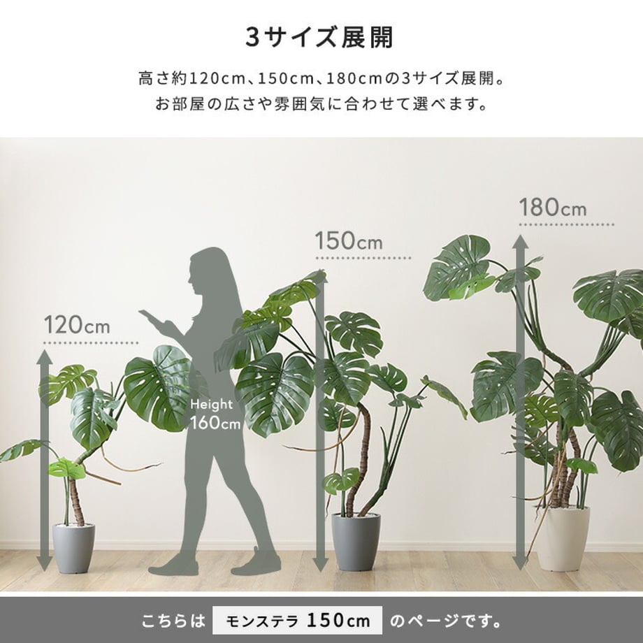 67a8344386db81000193eb50
