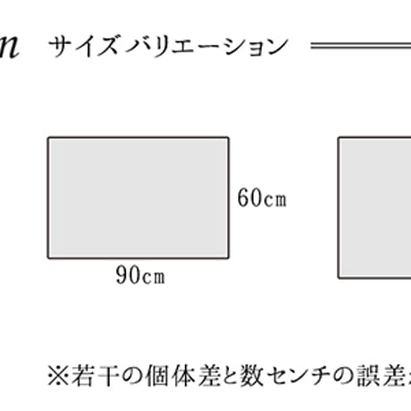 ウィルトン玄関マット マット プラテリア 60×90cm