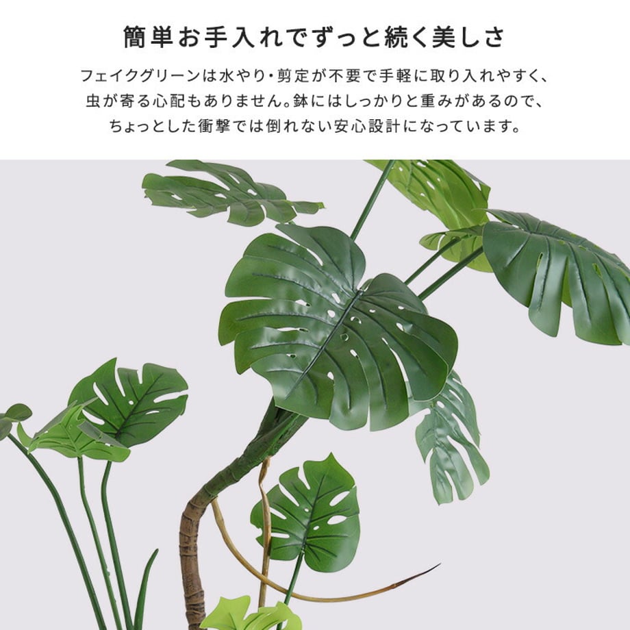 67a8343186db81000193eb44