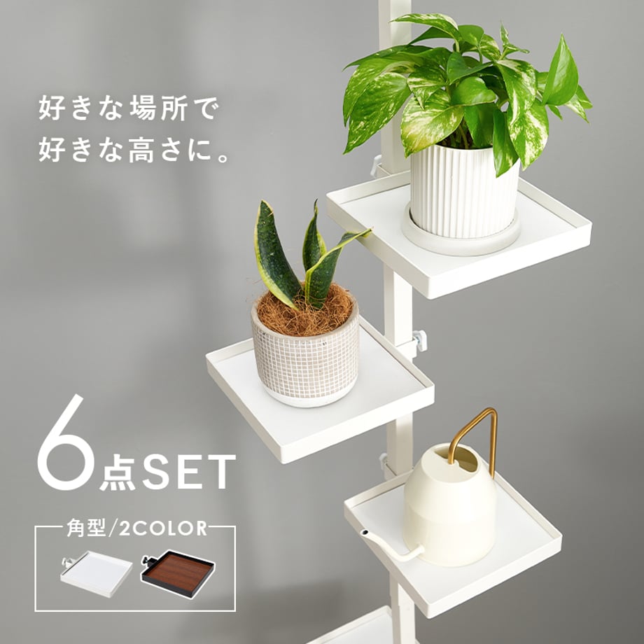 677b68aa5015b200015f83cb
