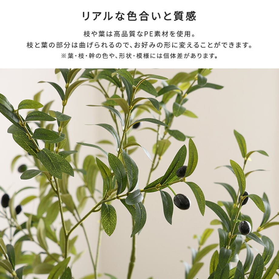 67a8348686db81000193eb80