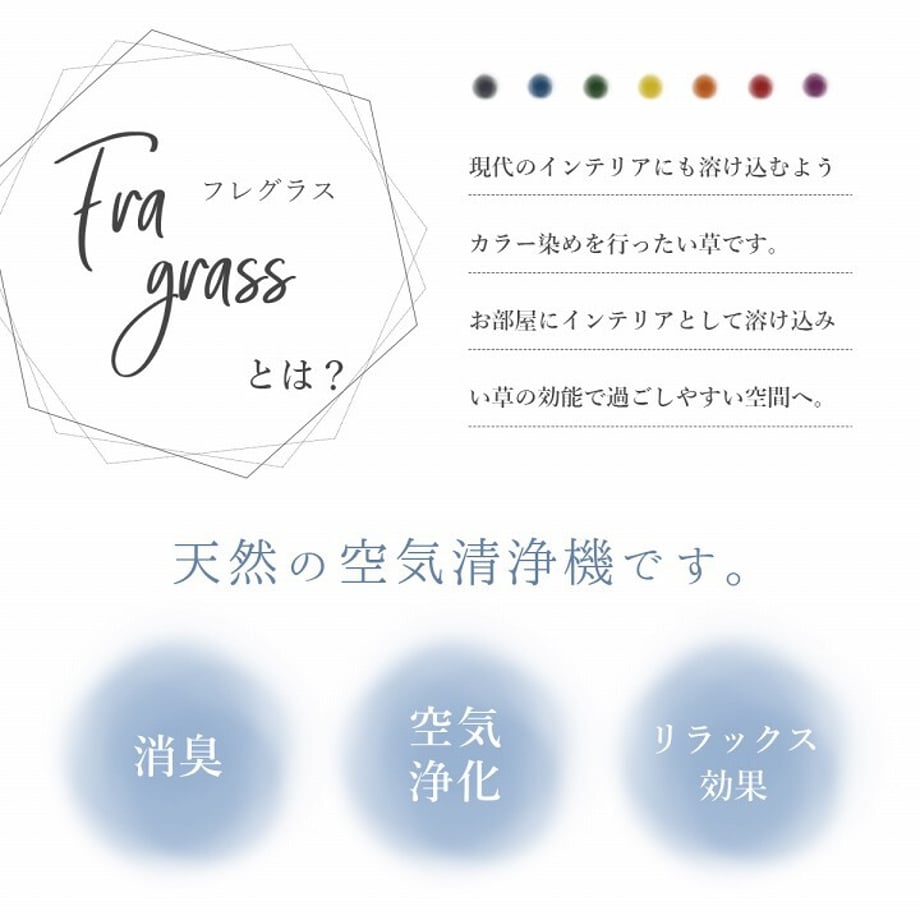67c0166f2200bb000122a9f7