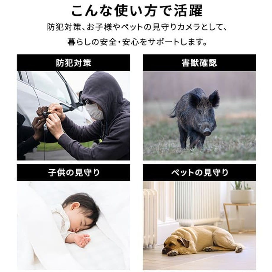 67a693cb248f8c00017782ad