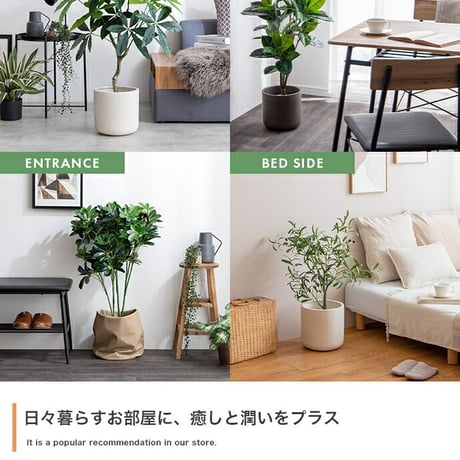 ナチュレ Nature パキラ 観葉植物 人工 フェイクグリーン 室内 リビング オフィス 一人暮らし 緑 インテリア 光触媒 空気清浄 消臭 抗菌 防汚 ホルムアルデヒド分解 高