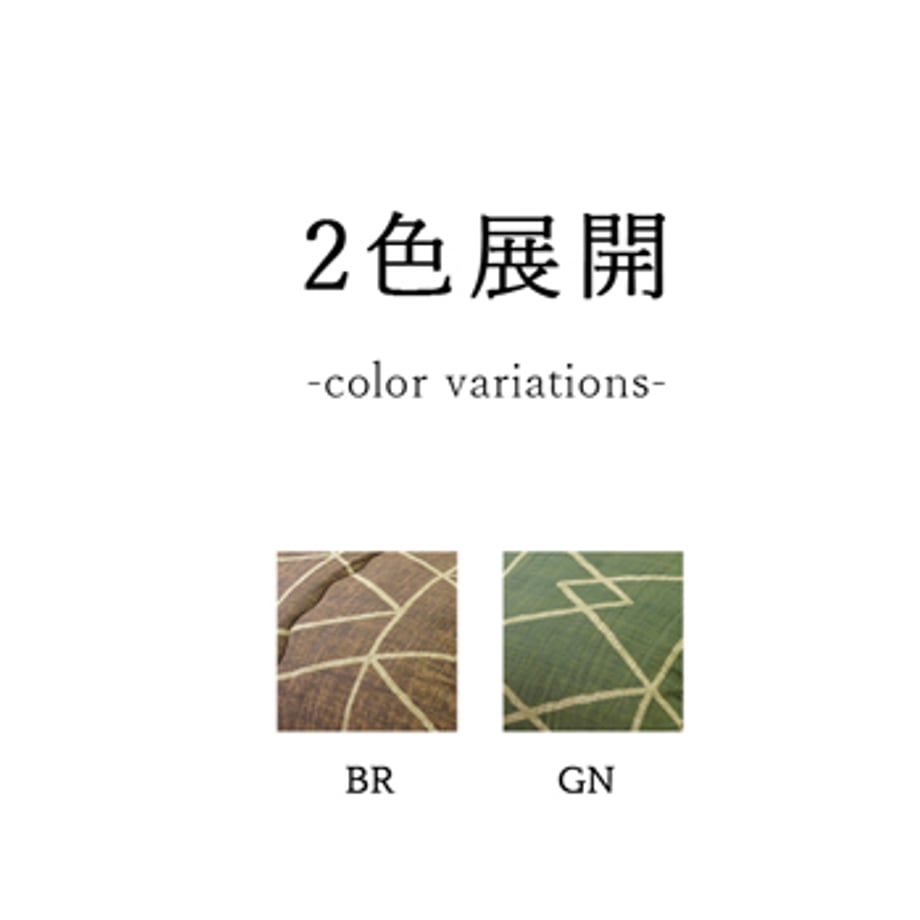 67c0ffe75ab45e0001e70a79