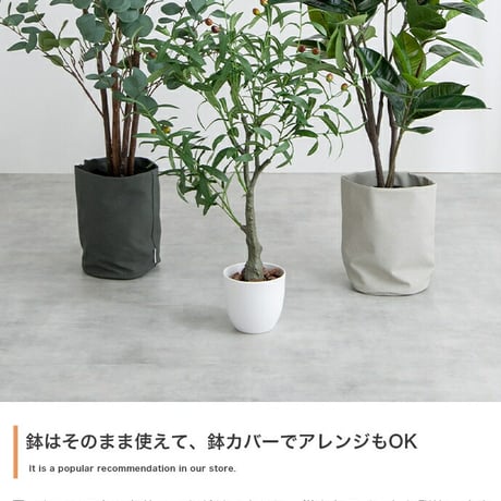 ナチュレ Nature パキラ 観葉植物 人工 フェイクグリーン 室内 リビング オフィス 一人暮らし 緑 インテリア 光触媒 空気清浄 消臭 抗菌 防汚 ホルムアルデヒド分解 高