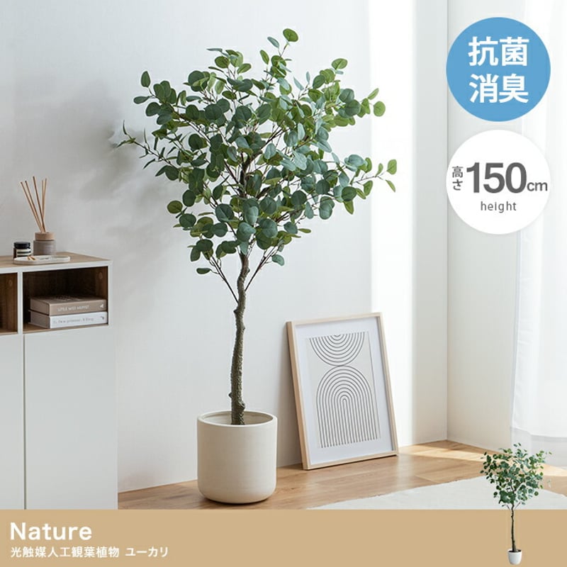フェイクグリーン 大型 玄関 ユーカリ ユーカリの木 150cm 鉢植え