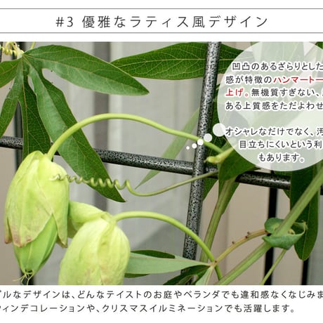アイアン製グリーンカーテン グラフ 2枚組  フェンス アイアン グリーンカーテン ゴーヤ 薔薇 バラ 朝顔 庭 ベランダ ガーデニング 枠 柵 仕切り 目隠し 境目 アン