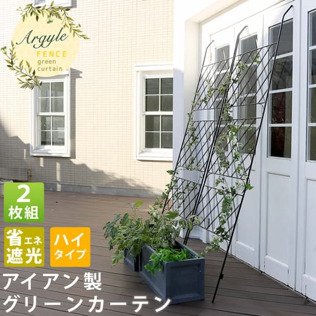 アイアン製グリーンカーテン アーガイル 2枚組  フェンス アイアン グリーンフェンス ゴーヤ 薔薇 バラ 朝顔 庭 ベランダ ガーデニング 枠 柵 仕切り 目隠し 境目
