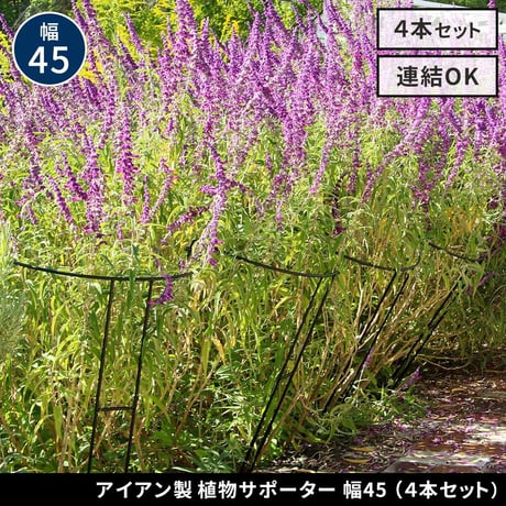 アイアン製植物サポーター 幅45 4本セット IF-N0047-4P 奥行23 高さ85 ハーフリング 倒れ防止 広がり抑制 スチール 鉄製 支柱 園芸 植物サポート フラワーサポート 菜園 花壇