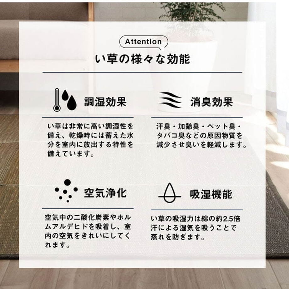 67c0f3805ab45e0001e702f4