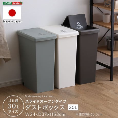 ゴミ箱 30リットル ふた付き おしゃれ スリム スライドペール 30L フタ付き ごみ箱 ダストボックス 分別 ペール