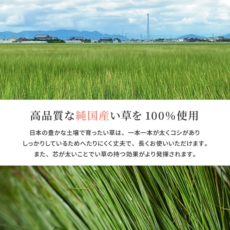 67c96a439637340001cbe811