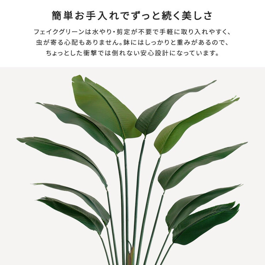 67a834da86db81000193ebbc