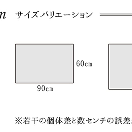 ウィルトン玄関マット マット ベルミラ 70×120cm