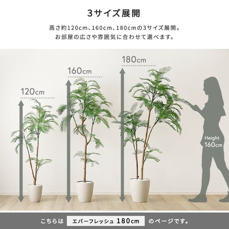 お手入れ簡単 フェイクグリーン エバーフレッシュ Lサイズ(180cm)