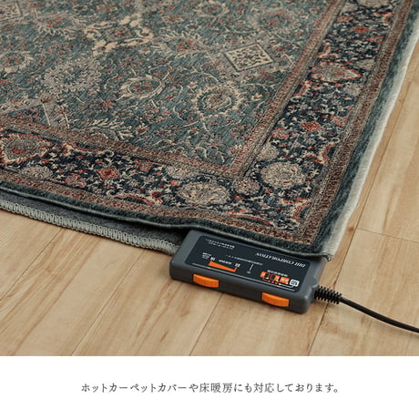 ウィルトンカーペット カーペット アルスラーン 200×300cm