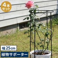 アイアン製植物サポーター 幅25 4本セット IF-N0049-4P 奥行13 高さ50 ハーフリング 倒れ防止 広がり抑制 スチール 鉄製 支柱 園芸 植物サポート フラワーサポート 菜園 花壇