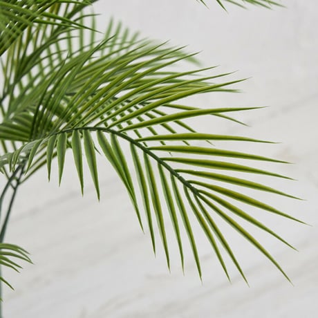 観葉植物 アレカヤシ 170センチ ミニ コンパクト 屋内 リアル お手入れ不要 鉢植え 光触媒加工 消臭効果 抗菌効果 防臭 ボタニカル ガーデニング 室内 グリーン お洒落 おしゃれ 北欧 リゾ