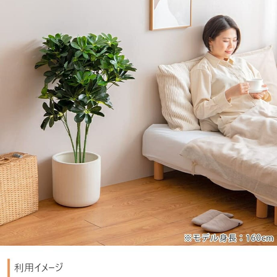 678dae6caf98d900017ca3cc