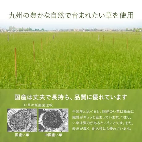 置き畳 カーペット あぐら 82×82cm 同色6枚組