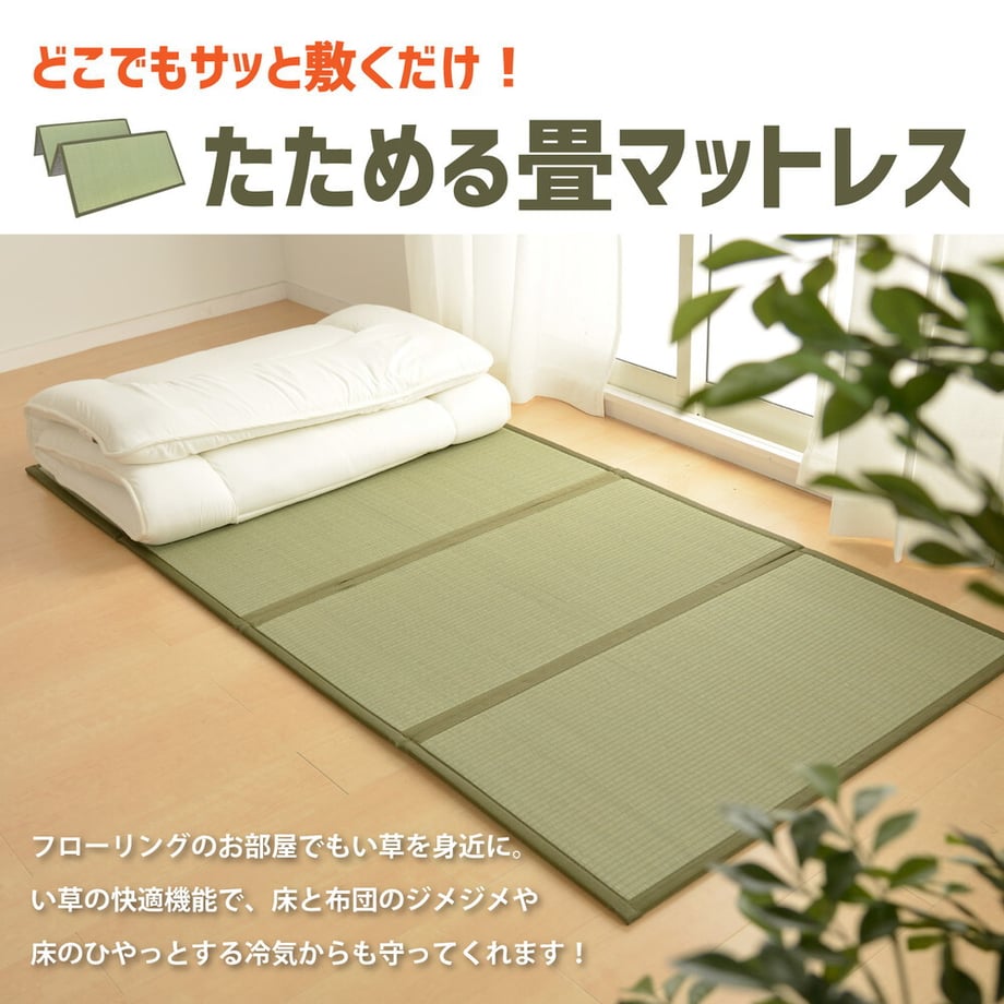 67c94d3edc901c00017fe76f