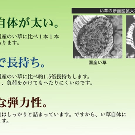 花ござ カーペット FUBUKI 174×261cm 江戸間3畳