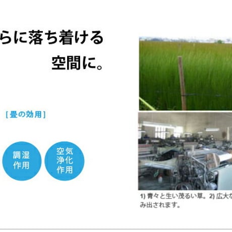 畳ベッド ヒノキベッド 日本製 シングル セミダブル ダブル コンセント付き 棚付き ひのきベッド イ草ベッド ひのきベッド 桧 檜 ひのき 本畳 低ホルムアルデヒド 高さ調節 日本製ベッド 国産ベ