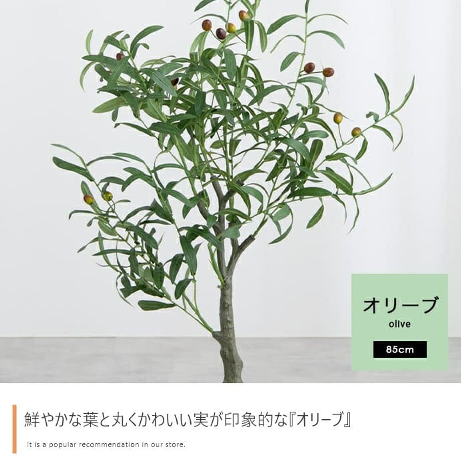 678dadfcaf98d900017ca38d
