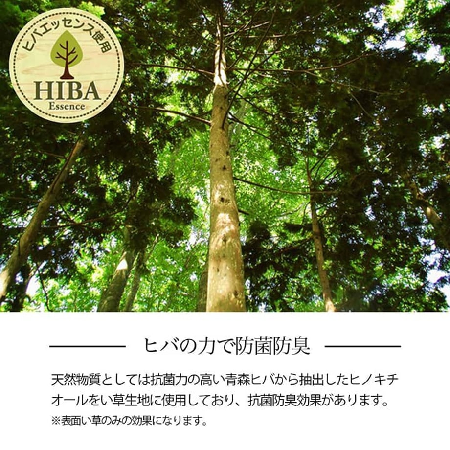 67c0fbb55ab45e0001e707f6