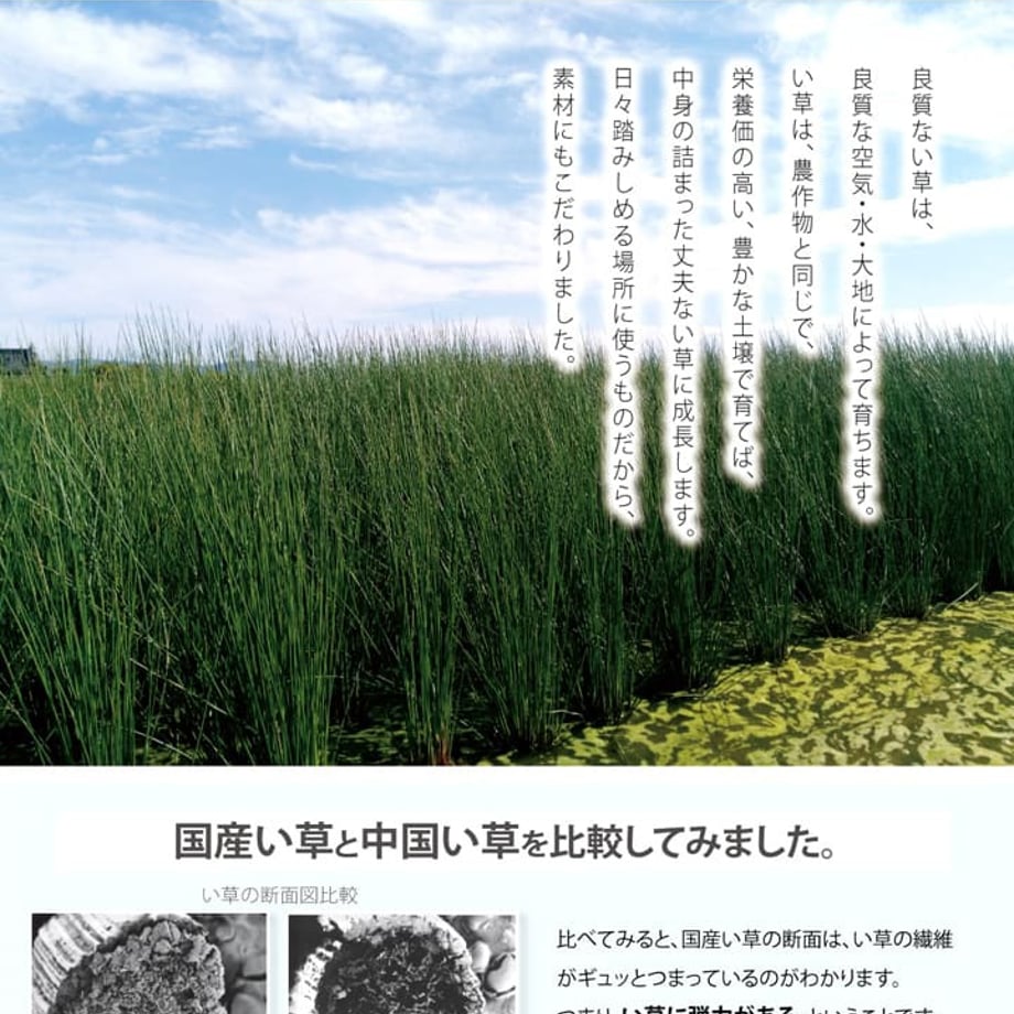 67c0fed05ab45e0001e709d7