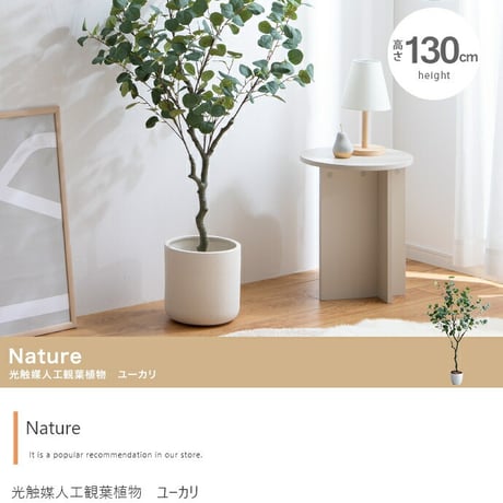 フェイクグリーン 観葉植物 フェイク 人工観葉植物 大型 光触媒 造花 インテリア リアル おしゃれ お祝い 消臭 抗菌 鉢 ユーカリ シルバーリーフ 室内 風水 リビング 玄関