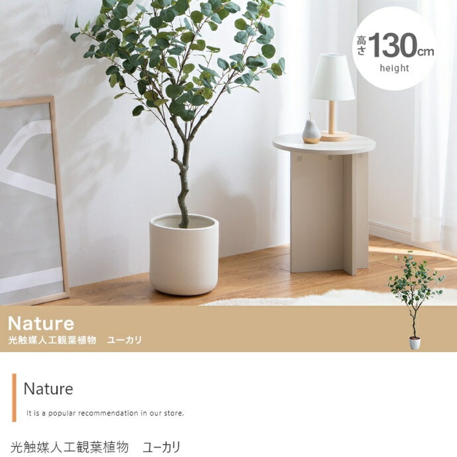 678daceaaf98d900017ca2ef