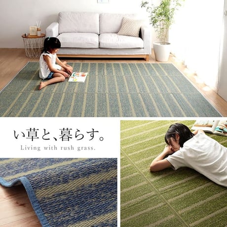 い草ボリュームラグ カーペット シルフ 240×240cm