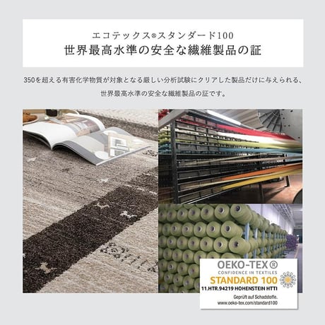 ウィルトンカーペット カーペット トレラ 80×140cm