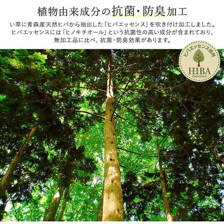 67c100515ab45e0001e70ab9