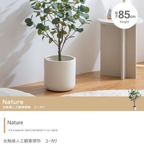 フェイクリーフ ユーカリ グリーン 85 cm おしゃれ かわいい シンプル おしゃれ 新生活 リビング 寝室 玄関 書斎 窓辺 食卓 丸 北欧インテリア雑貨 ナチュラル 人工 造