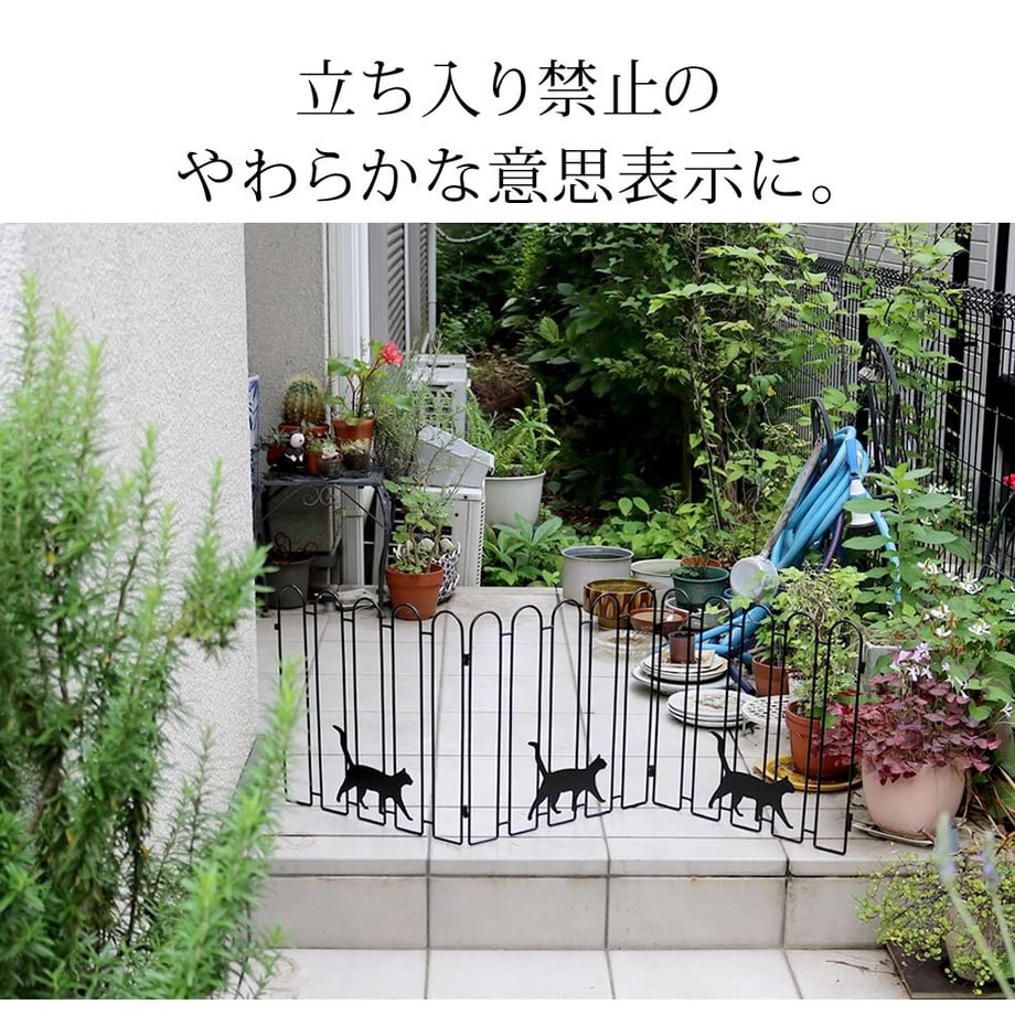 67933b774b7d39000186814a