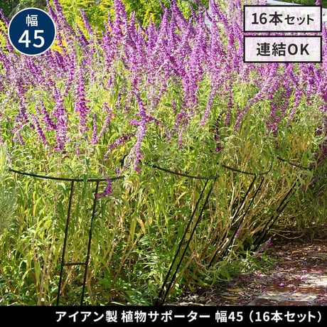 アイアン製植物サポーター 幅45 16本セット IF-N0047-16P 奥行23 高さ85 ハーフリング 倒れ防止 広がり抑制 スチール 鉄製 支柱 園芸 植物サポート フラワーサポート 菜園 花壇