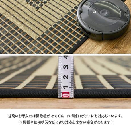 国産い草ラグ　栄山