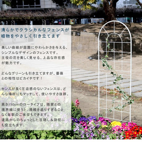 クラシックフェンス150 ロータイプ 4枚組 フェンス アイアン ガーデンフェンス ガーデニング 枠 柵 仕切り 目隠し 境目 クラシカル アンティーク トレリス ベラン