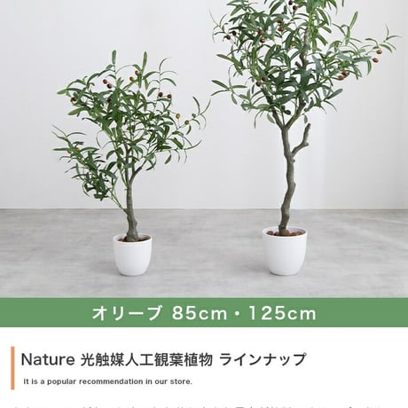 ナチュレ Nature パキラ 観葉植物 人工 フェイクグリーン 室内 リビング オフィス 一人暮らし 緑 インテリア 光触媒 空気清浄 消臭 抗菌 防汚 ホルムアルデヒド分解 高