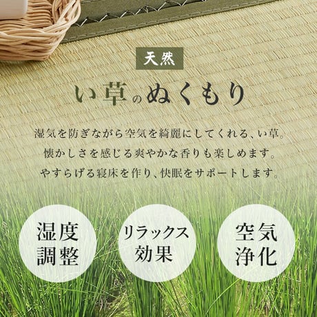 棚 コンセント付き 畳シングルベッド ベッド+畳マットレス 高さ3段階 調節可能 畳 2種類 い草 畳みベッド 畳マットレス 爽やかな天然い草 湿気 すのこベッド 床面下 大容量 収納スペース 衣装ケ