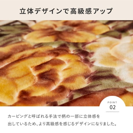 ｱﾄﾞﾘｱ BE 200x240 HCｶﾊﾞｰ