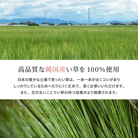 国産い草カーペット（裏貼り）　月光　江戸間6畳