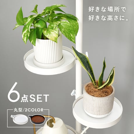 突っ張り棒&パーツ 6点セット 丸型 ウォールラック 高さ調節 ラック おしゃれ スリム 壁面収納 オープンラック ウォールシェルフ 突っ張り 棚 北欧 シンプル モダンディスプレ